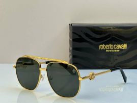 Picture of Roberto Cavalli Sunglasses _SKUfw55482479fw